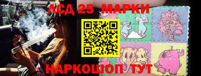 шишки Боровичи