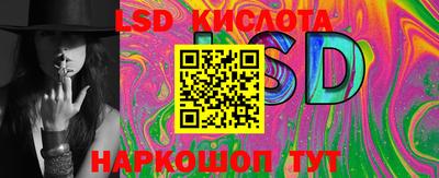 шишки Боровичи