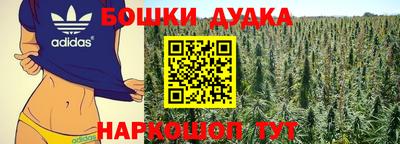 шишки Боровичи