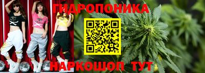 индика Бердск