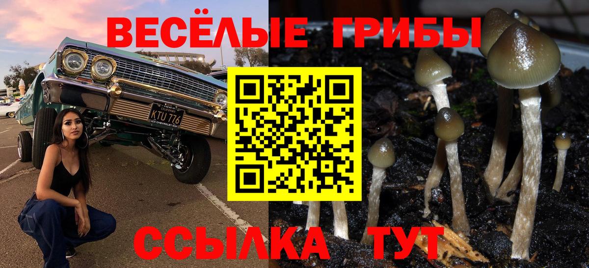 Галлюциногенные грибы Psilocybe  Вход с VPN  Псилоцибиновые грибы Psilocybe  Нижний Тагил 
